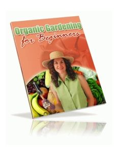 Organic Gardening for Beginners