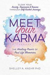 Meet your Karma by Shelley Kaehr