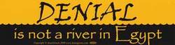 Denial Is Not A River In Egypt bumper sticker