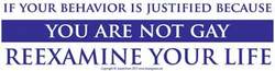 If your Behavior is Justified because You Are Not Gay Reexamine Your Life