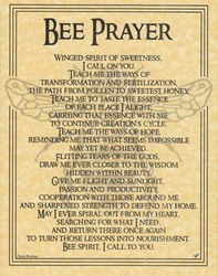 Bee Prayer poster - Click Image to Close