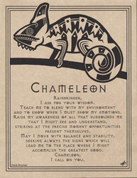 Chameleon Prayer poster - Click Image to Close