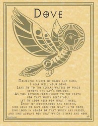 Dove Prayer poster - Click Image to Close