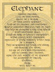 Elephant Prayer poster