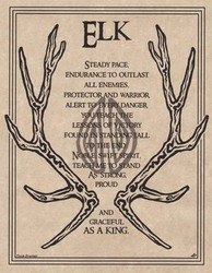 Elk Prayer poster - Click Image to Close