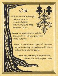 Oak poster - Click Image to Close