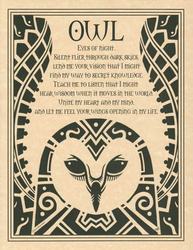 Owl poster