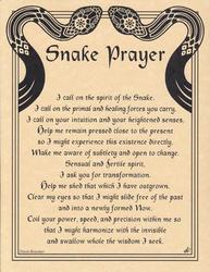 Snake Prayer poster