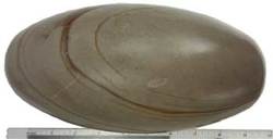 8" Shiva Lingham stone from India