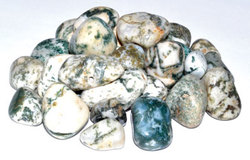 1 lb Agate, Tree tumbled stones - Click Image to Close