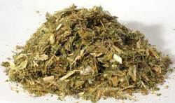 Blessed Thistle 1oz (Cnicus benedictus) - Click Image to Close