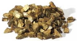 Burdock Root cut 1oz (Arctium lappa)