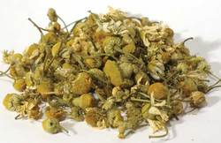 Chamomile Flower whole 1oz (egyptian) (Matricaria)