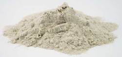 Devil's Claw Root powder 1oz (Harpagophytum procumbens)