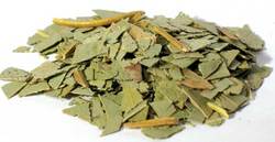 Eucalyptus cut 1oz (Eucalyptus globulus) - Click Image to Close