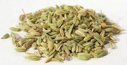 Fennel Seed 1oz (Foeniculum vulgare) - Click Image to Close