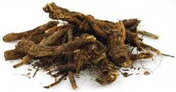 Golden Seal Root cut 1oz (Hydrastis canadensis)