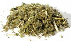 Horehound cut 1oz (Marrubium vulgare)