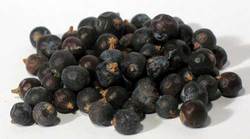 Juniper Berries whole 1oz (Juniperus communis)