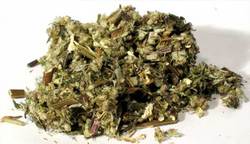 Mugwort cut 1oz (Artemisia Vulgaris) - Click Image to Close