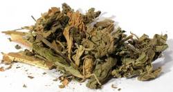 Patchouli cut 1oz (Pogostemon cablin) - Click Image to Close