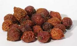 Rose Hips whole 1oz (Rosa canina)