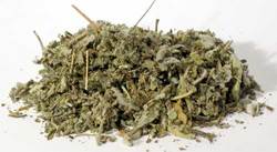 Sage Leaf cut 1oz (Salvia officinales) - Click Image to Close