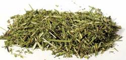 Scullcap cut 1oz (Scutellaria laterifolia) - Click Image to Close