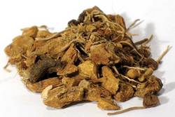 Solomon's Seal Root cut 1oz (Polygonatum species) - Click Image to Close