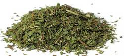 Spearmint cut 1oz (Mentha spicata)