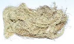 Usnea Lichen whole 1oz - Click Image to Close