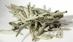 White Sage 1oz (Salvia Apiana) - Click Image to Close