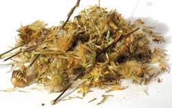 1 Lb Arnica Flower whole (Arnica)