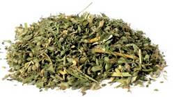 Catnip cut 2oz (Nepeta cataria)