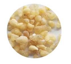 1 Lb Frankincense siftengs incense - Click Image to Close