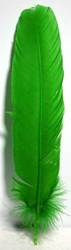 Green Feather 12" - Click Image to Close