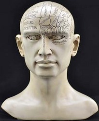 8" Phrenology Head - Click Image to Close