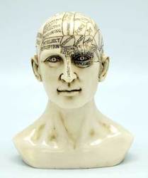 6" Phrenology Head