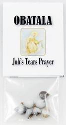 Job's Tears (seeds) - Click Image to Close