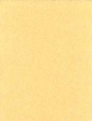 Light Parchment Paper 25 Pack (8 1/2" x 11")