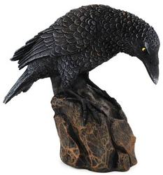 Downward Looking Raven 5 1/2"