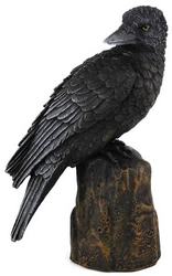 Backward Looking Raven 6" - Click Image to Close